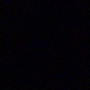 Meet your Posher, Rose